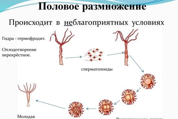 Кракен оригинальная ссылка для тор