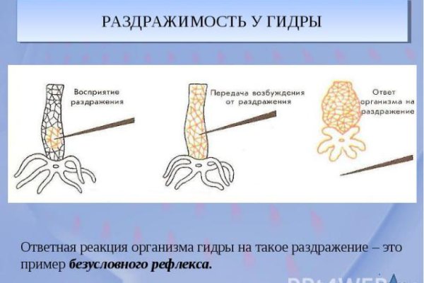 Как найти актуальную ссылку на кракен