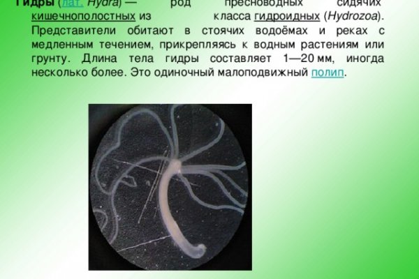 Kraken 18at