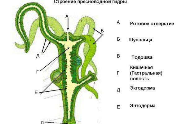Кракен даркнет только через торг