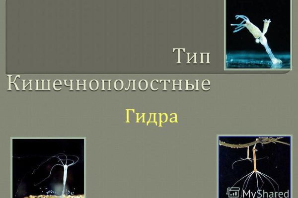 Кракен зеркало krk market com