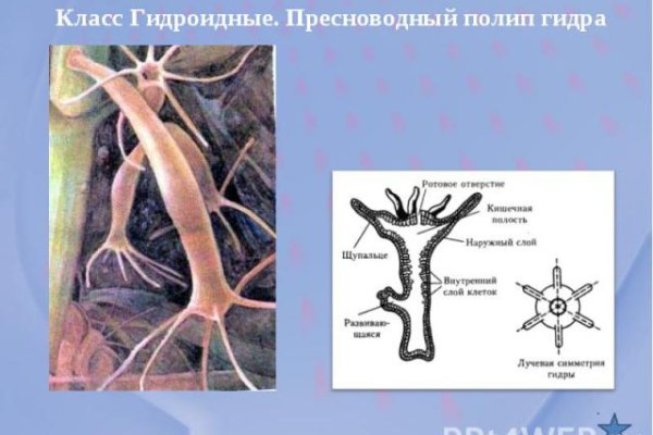 Kra46.cc Вход на сайт главная страница