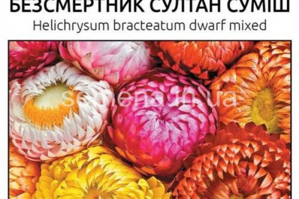 Можно ли зайти на кракен через обычный браузер