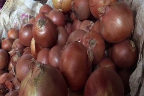 Ссылка на даркнет в тор