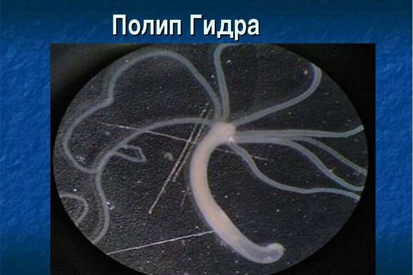 Скрытый интернет как войти