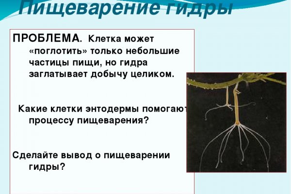 Как выводить деньги с кракена