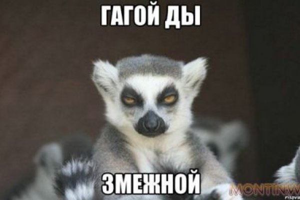 Кракен зеркало ссылка онлайн