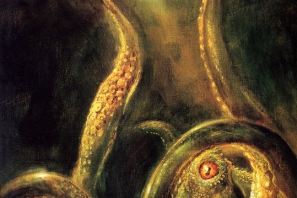 Kraken актуальный сайт